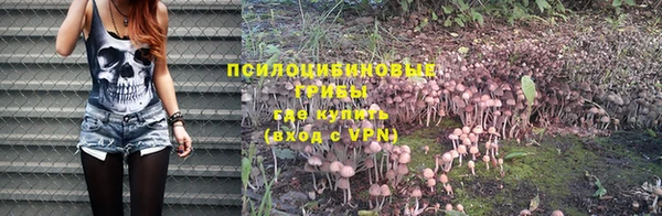 стафф Алексеевка