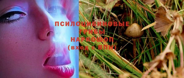 каннабис Алзамай