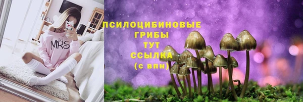 экстази Алексин