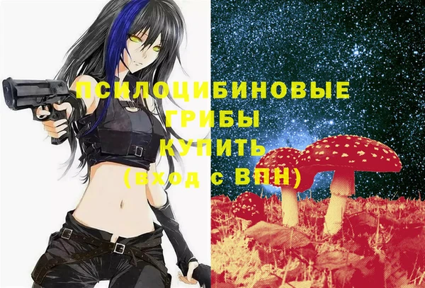 экстази Алексин