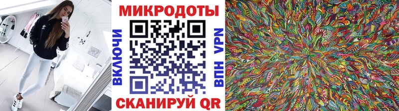 Галлюциногенные грибы Psilocybine cubensis  Коряжма 